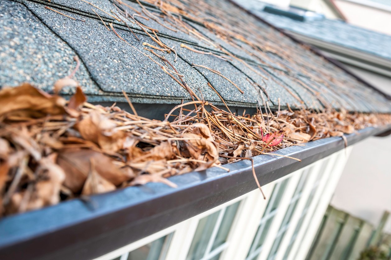 Technician safely cleaning gutters on a house