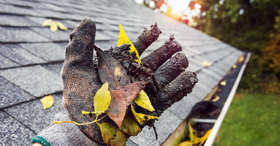 Home in NH & Southern ME with clean gutters