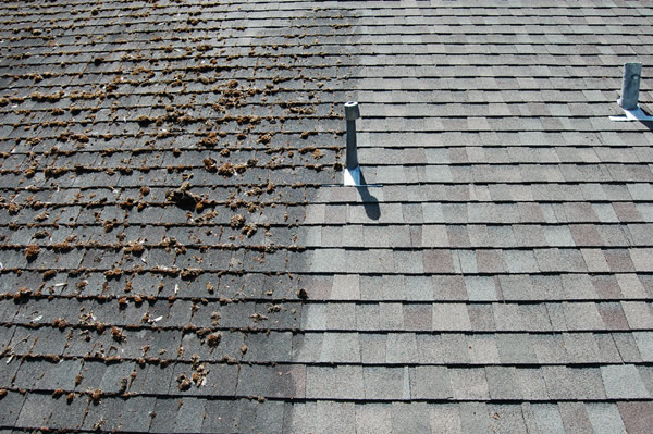 Team member carefully soft washing a roof